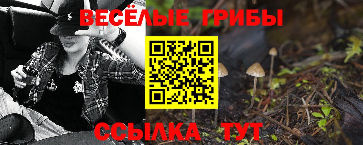 Сыктывкар  Галлюциногенные грибы Magic Shrooms  купить   Вход с VPN 